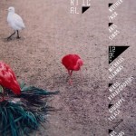 GRANNY RECORDS: ΔΥΟ ΗΜΕΡΕΣ ΠΕΙΡΑΜΑΤΙΚΗΣ ΗΛΕΚΤΡΟΝΙΚΗΣ ΜΟΥΣΙΚΗΣ @ LES YPER YPER / 11-12 DEC. 2015GRANNY RECORDS: ΔΥΟ ΗΜΕΡΕΣ ΠΕΙΡΑΜΑΤΙΚΗΣ ΗΛΕΚΤΡΟΝΙΚΗΣ ΜΟΥΣΙΚΗΣ @ LES YPER YPER / 11-12 DEC. 2015